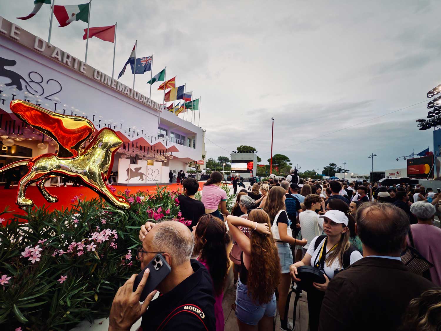 Venezia 82: una macchina da 712 milioni di indotto
